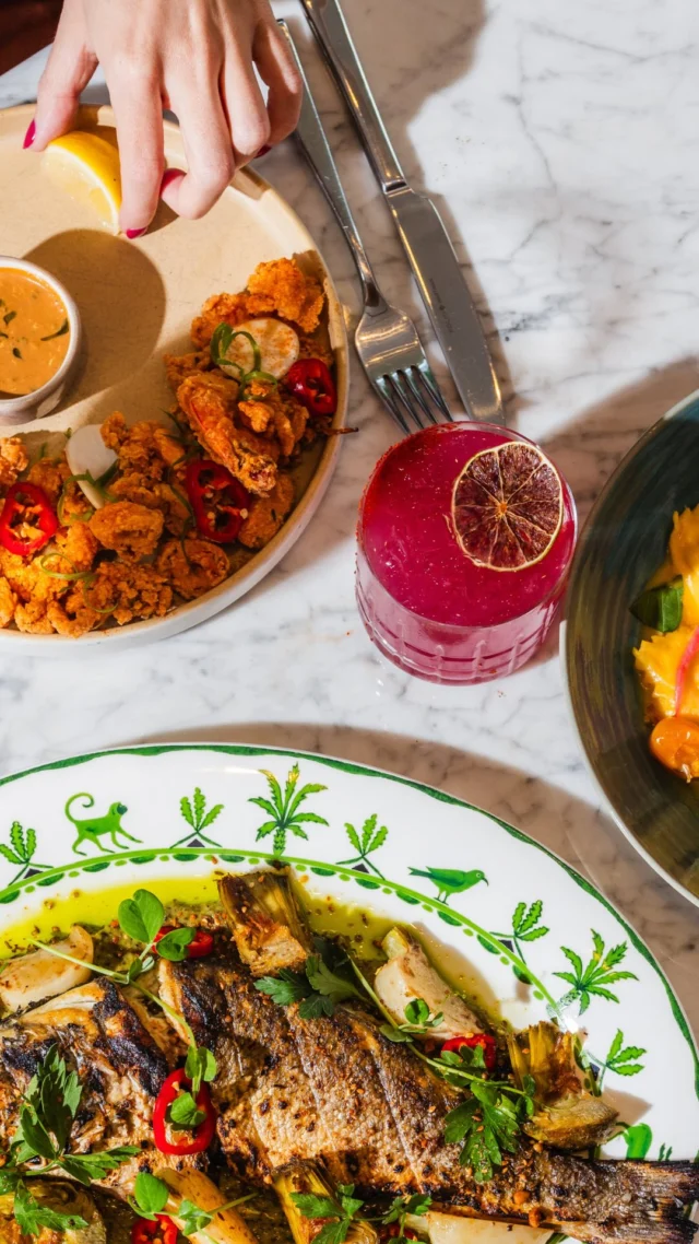 Emilia’s Fort Worth — the go-to for vibrant Mediterranean flavors, all day long.
